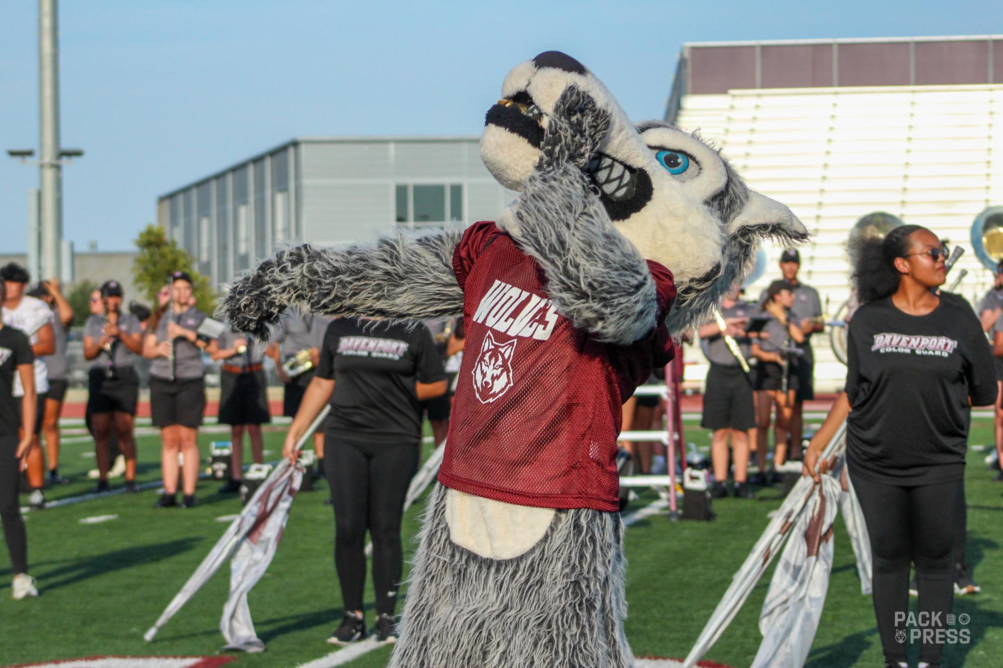 Meet the Wolves Photo Gallery