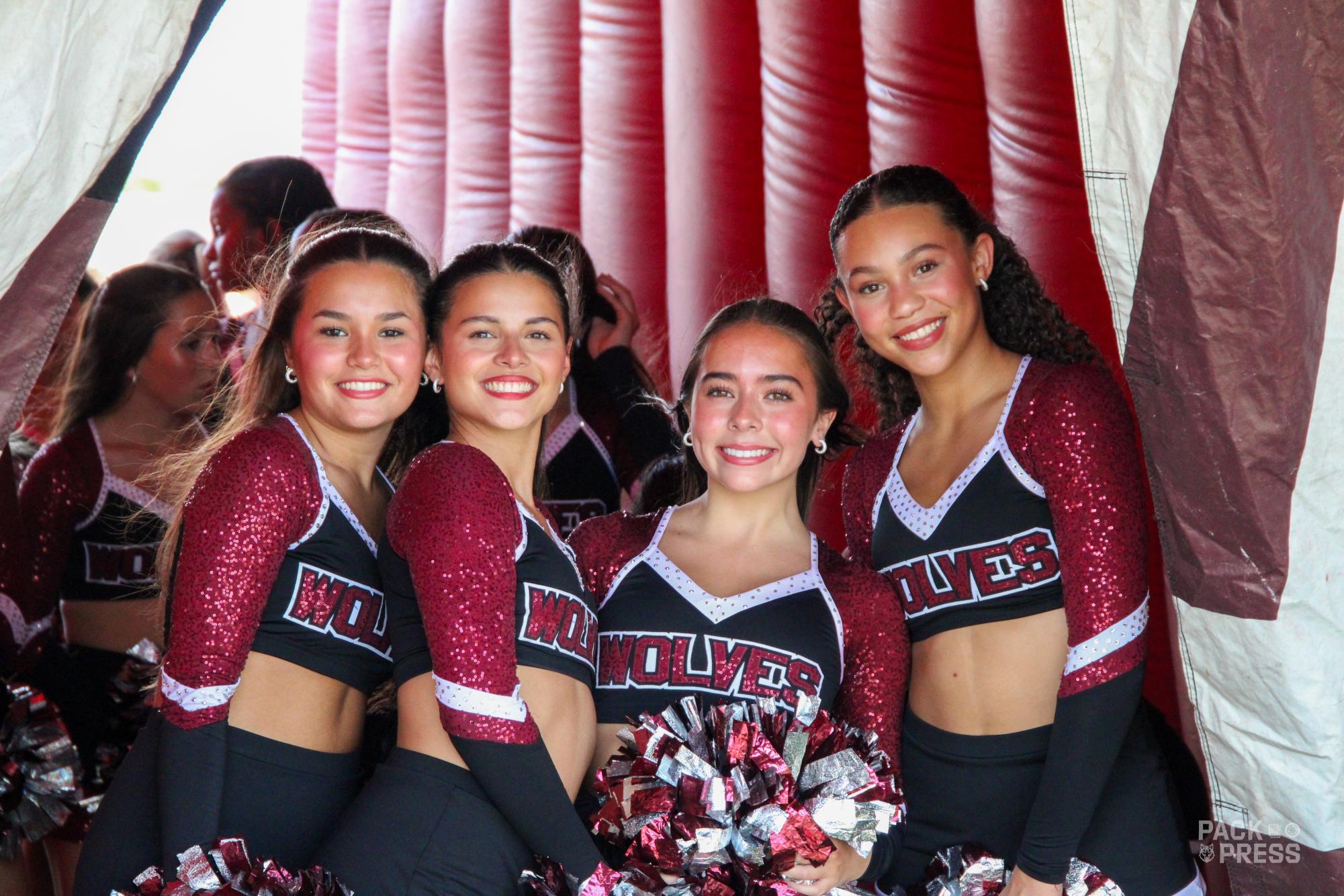 Meet the Wolves Photo Gallery