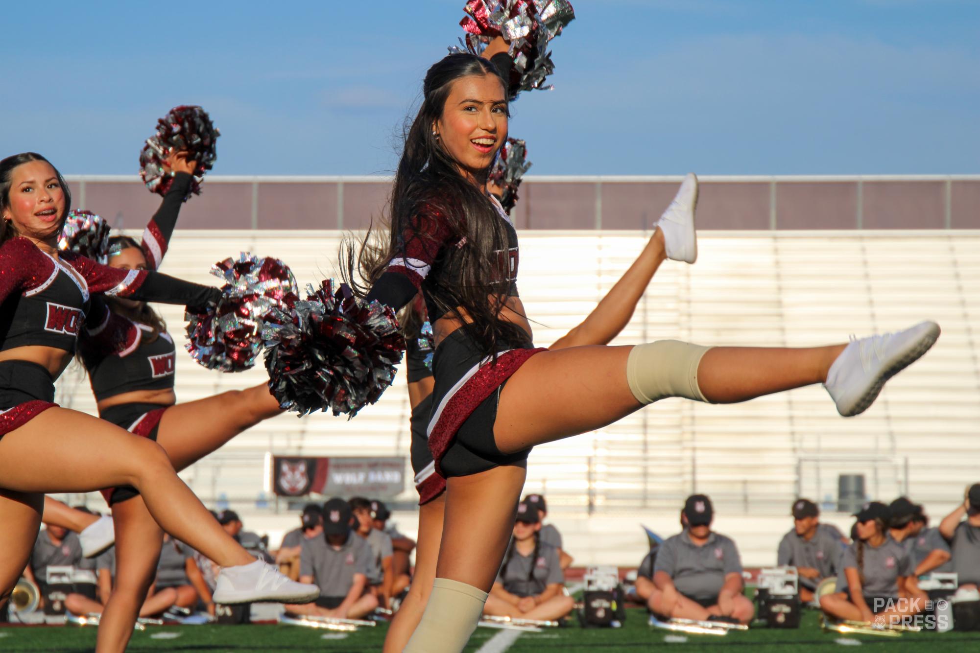 Meet the Wolves Photo Gallery
